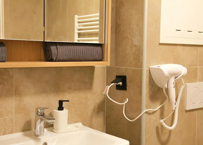 Stylish Penthouse With Free Parking וינה